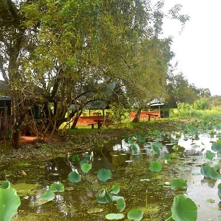 Meegahapokuna Resort 阿努拉德普勒 外观 照片