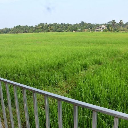 Meegahapokuna Resort 阿努拉德普勒 外观 照片
