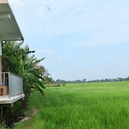 Meegahapokuna Resort 阿努拉德普勒 外观 照片