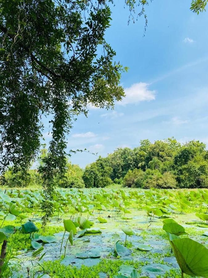 Meegahapokuna Resort 阿努拉德普勒 外观 照片
