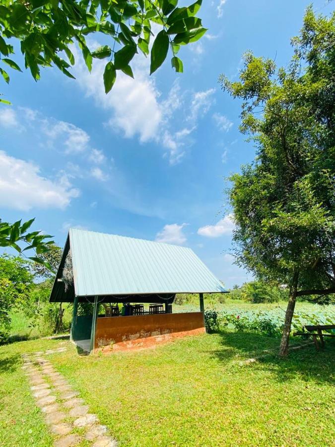 Meegahapokuna Resort 阿努拉德普勒 外观 照片
