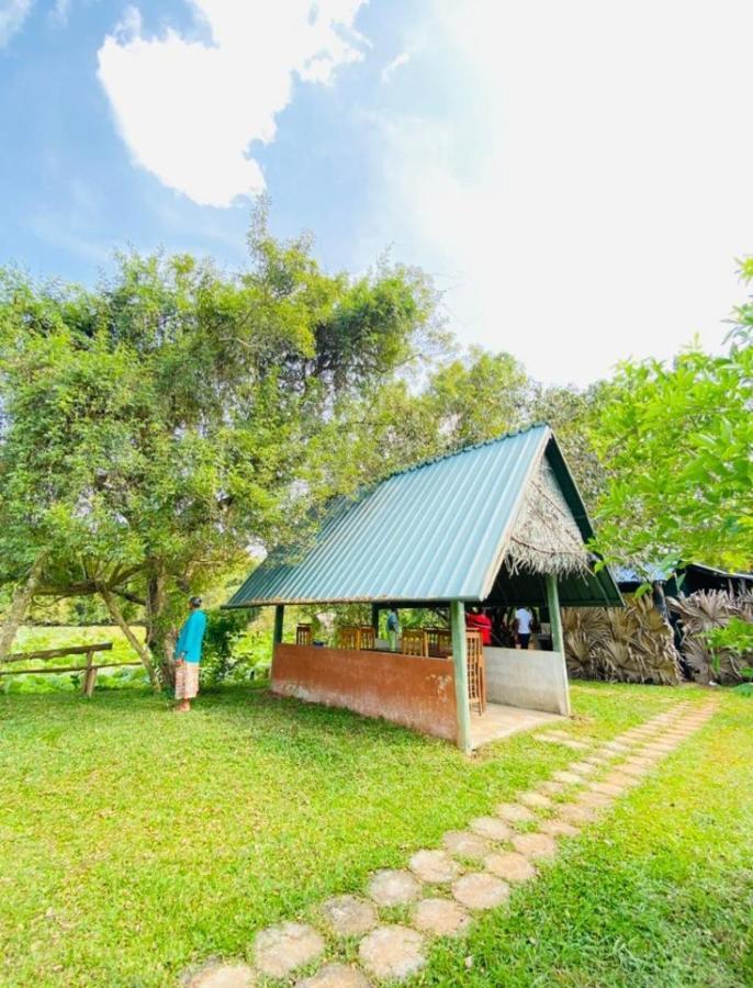 Meegahapokuna Resort 阿努拉德普勒 外观 照片