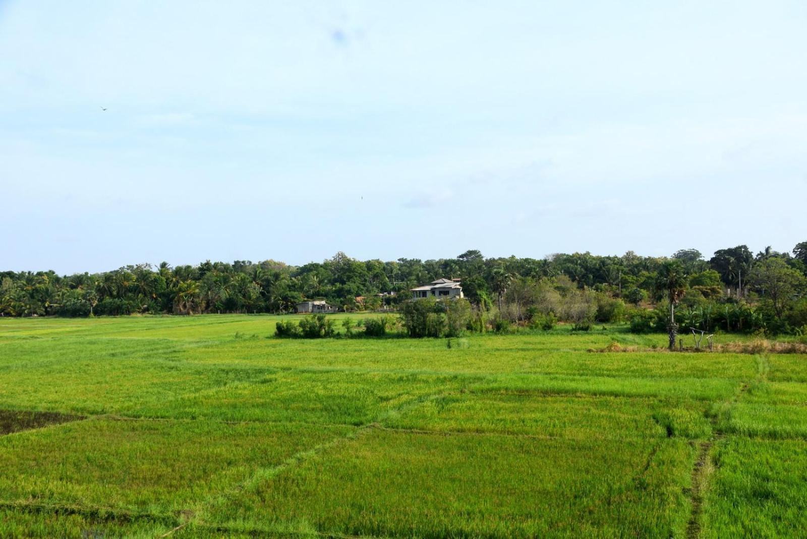 Meegahapokuna Resort 阿努拉德普勒 外观 照片