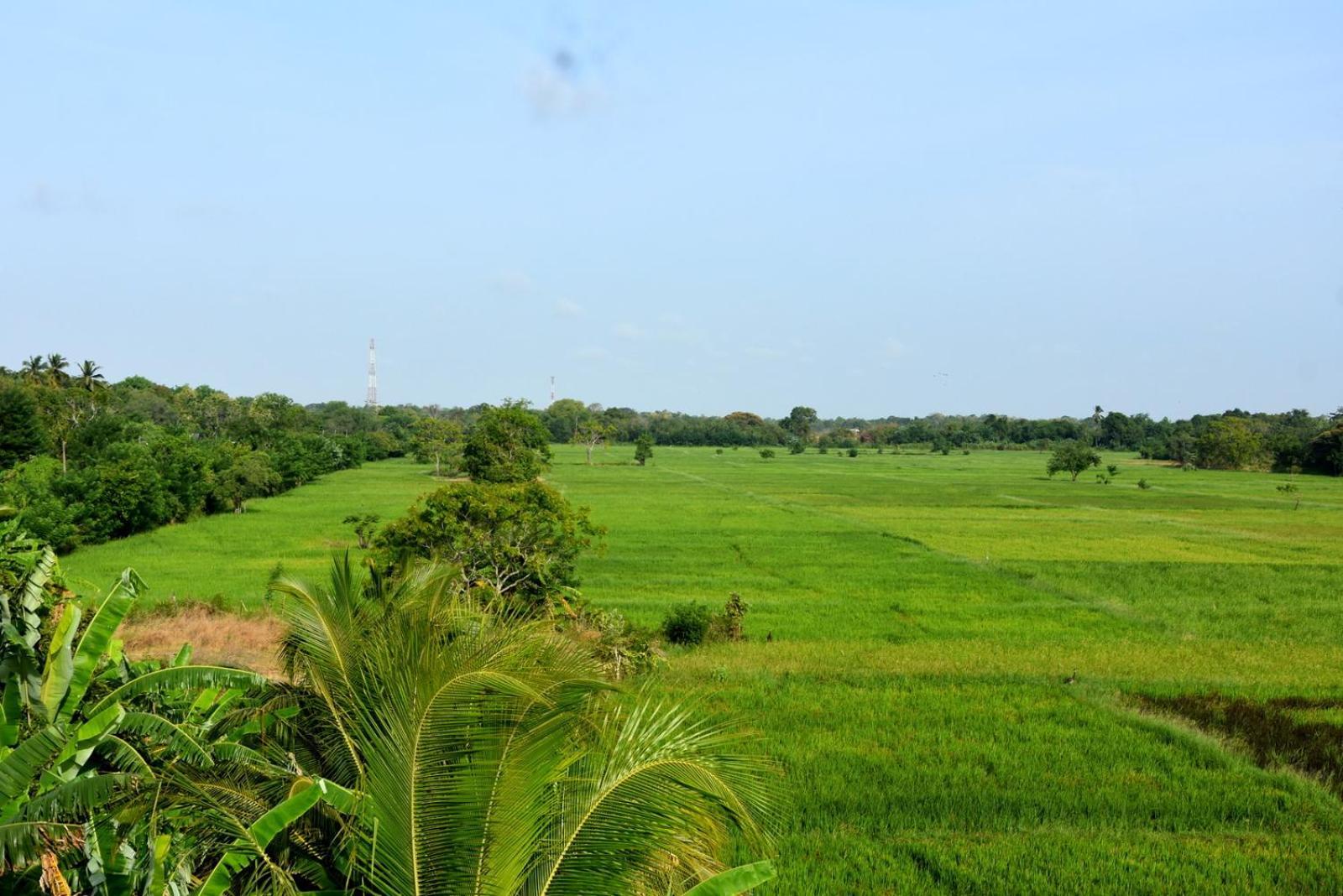 Meegahapokuna Resort 阿努拉德普勒 外观 照片