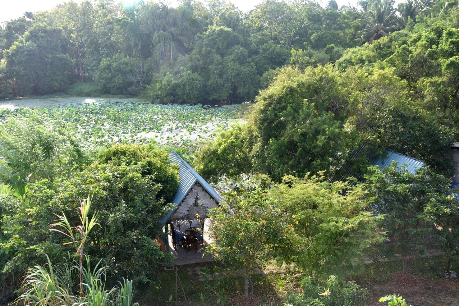 Meegahapokuna Resort 阿努拉德普勒 外观 照片