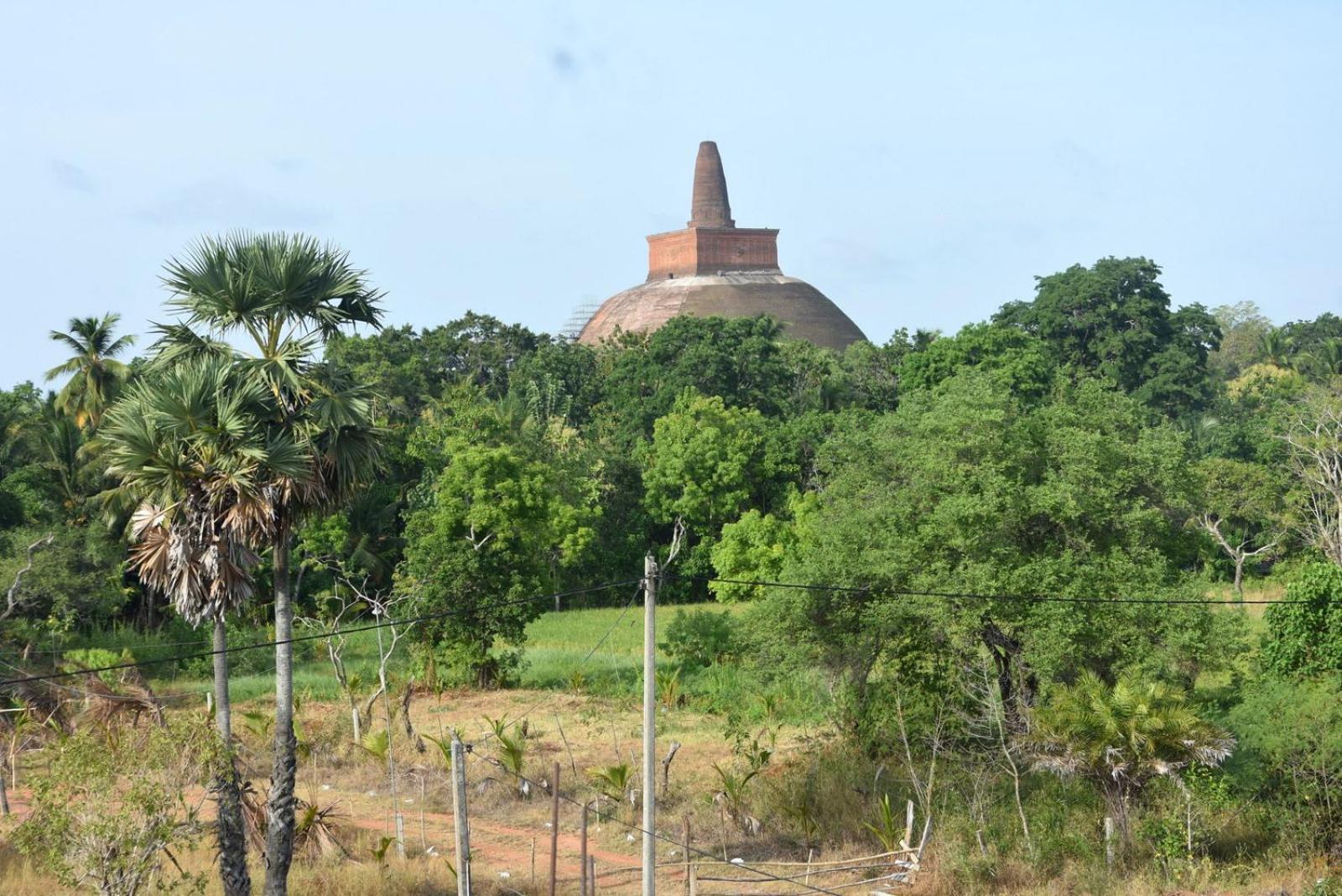 Meegahapokuna Resort 阿努拉德普勒 外观 照片