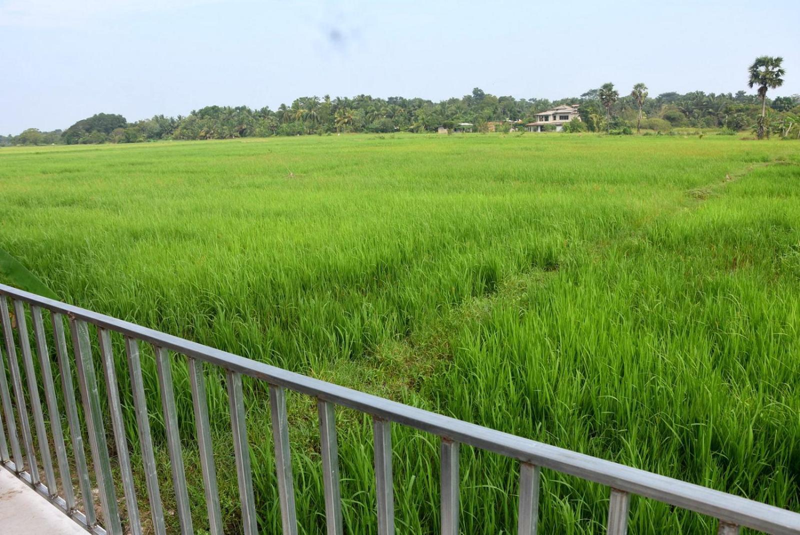 Meegahapokuna Resort 阿努拉德普勒 外观 照片